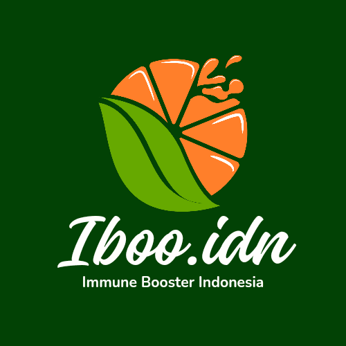 Logo Iboo.idn